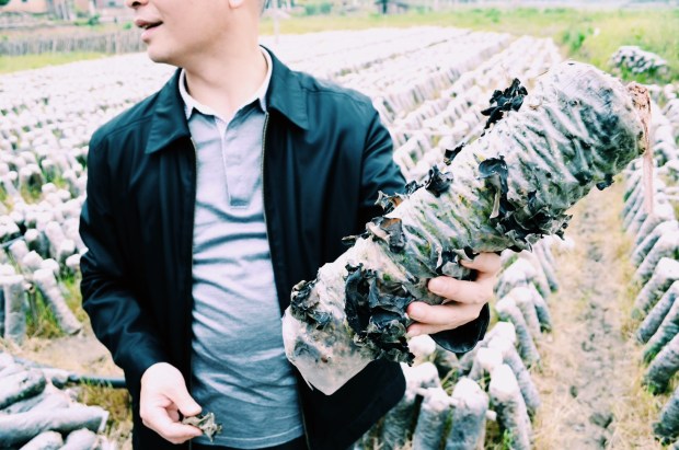 Processed with VSCOcam with c1 preset