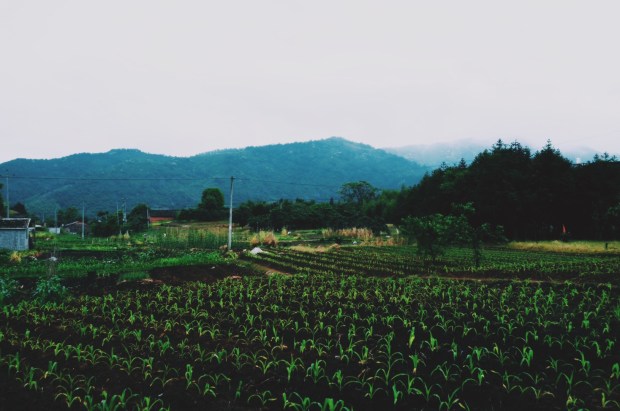 Processed with VSCOcam with c1 preset