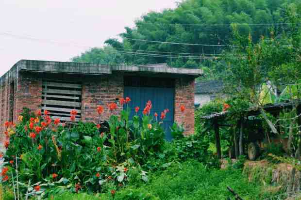 Processed with VSCOcam with c1 preset