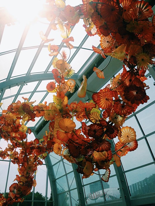 Processed with VSCOcam with c1 preset